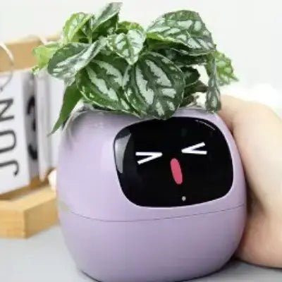 Pot de fleurs - SmartPlanter™ - Mauve