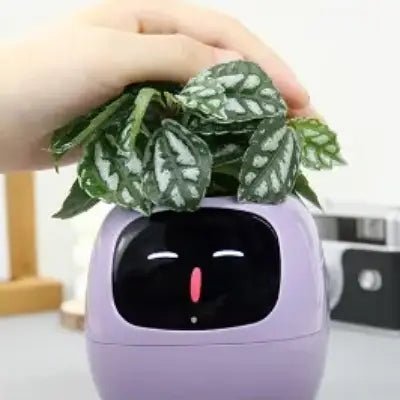 Pot de fleurs - SmartPlanter™ - Mauve