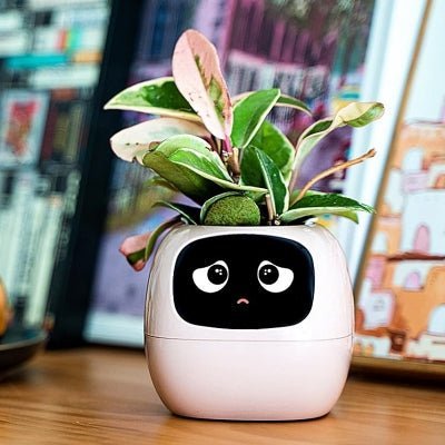 Pot de fleurs - SmartPlanter™ - Blanc