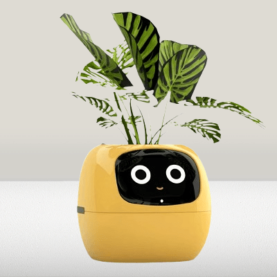 Pot de fleurs - SmartPlanter™ - Jaune
