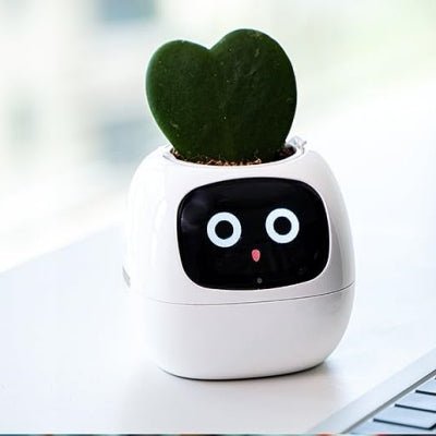 Pot de fleurs - SmartPlanter™ - Blanc
