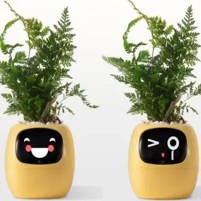 Pot de fleurs - SmartPlanter™ - Jaune
