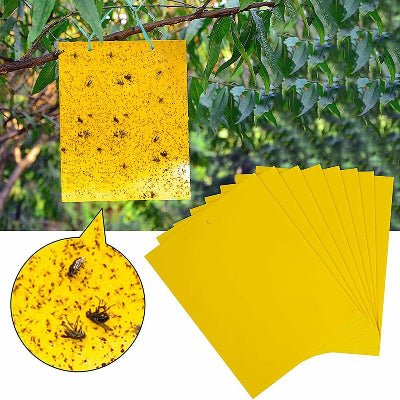 Piège à Mouches - InsectCatch™ - Jaune
