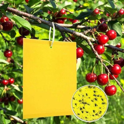 Piège à Mouches - InsectCatch™ - Jaune