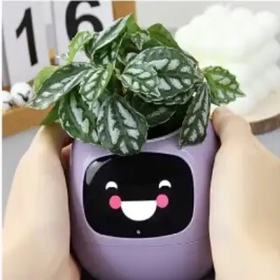 Pot de fleurs - SmartPlanter™ - Mauve