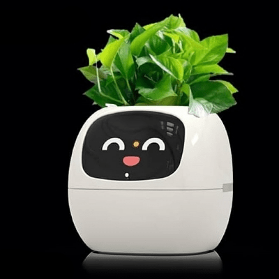 Pot de fleurs - SmartPlanter™ - Blanc