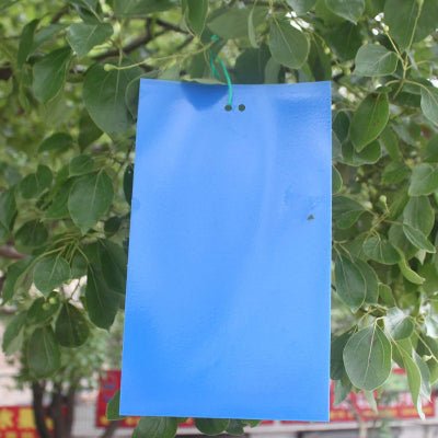 Piège à Mouches - InsectCatch™ - Bleu