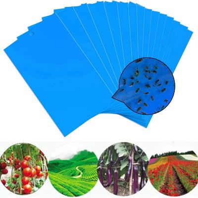 Piège à Mouches - InsectCatch™ - Bleu