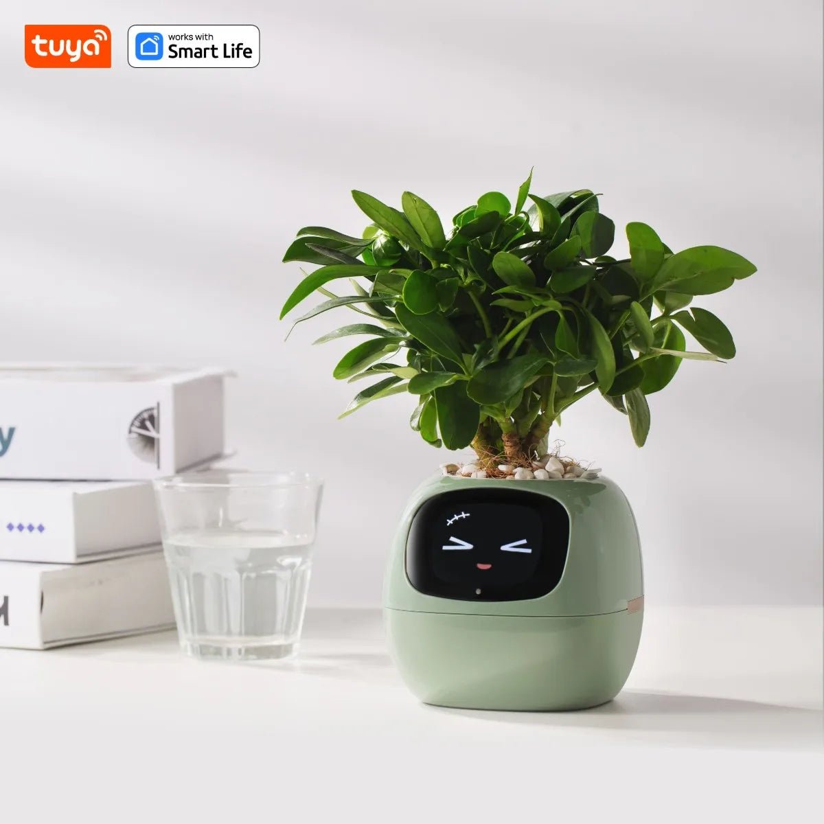 Pot de fleurs - SmartPlanter™ - Vert