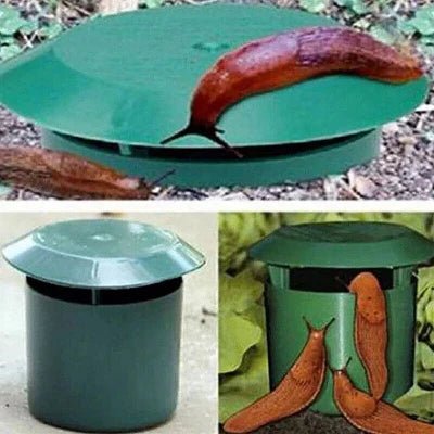 Piege a Limace - SnailTrap™ - Vert
