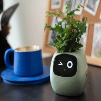 Pot de fleurs -  SmartPlanter™ - Vert