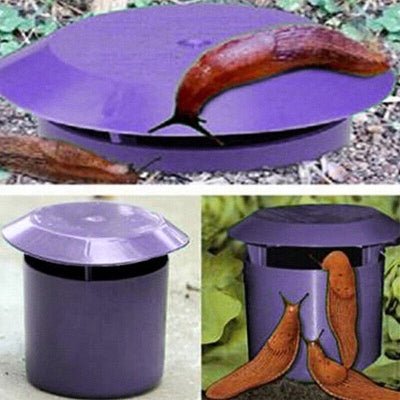 Piege a Limace - SnailTrap™ - Mauve