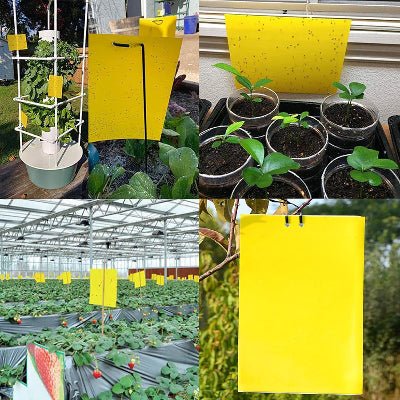 Piège à Mouches - InsectCatch™ - Jaune